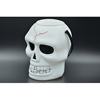 Halloween PE Skull Skelton Container